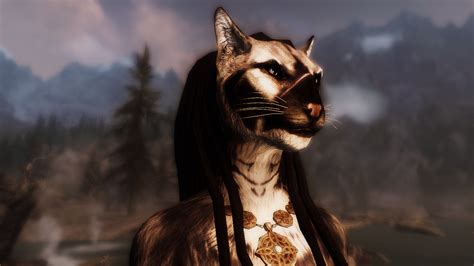 skyrim female khajiit|skyrim female khajiit follower.